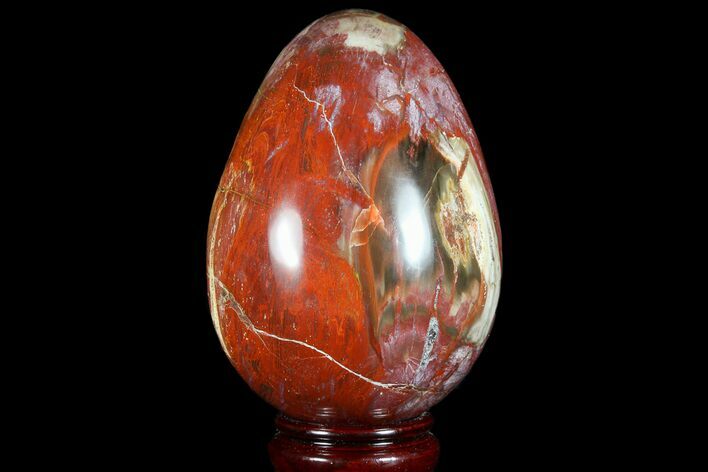 Colorful, Polished Petrified Wood Egg - Triassic #74736